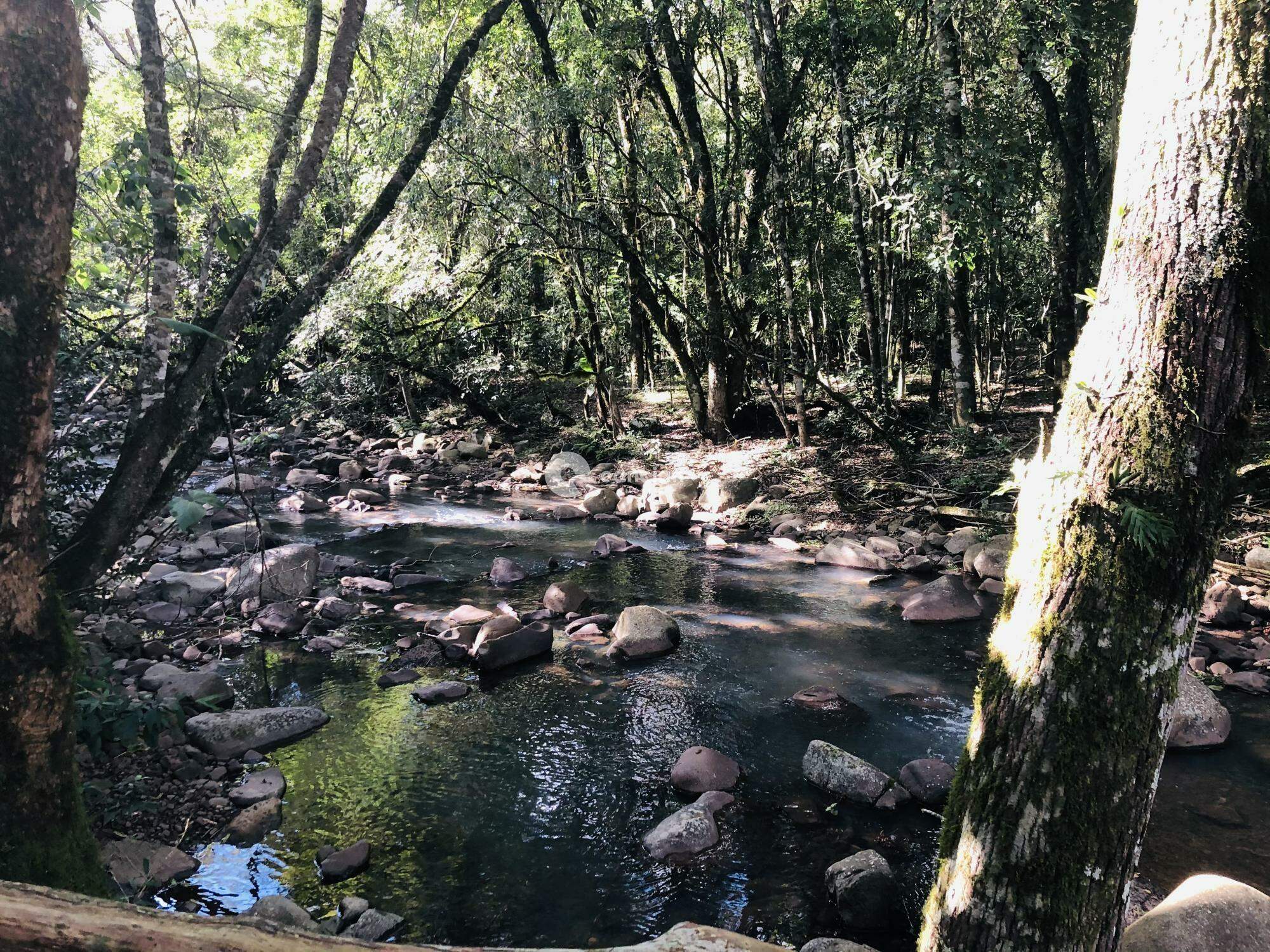 Chácara à venda no Rincão dos Minelo: 