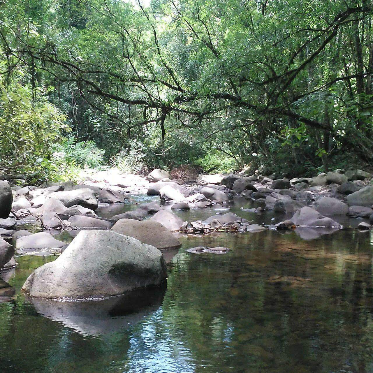 Chácara à venda no Rincão dos Minelo: 