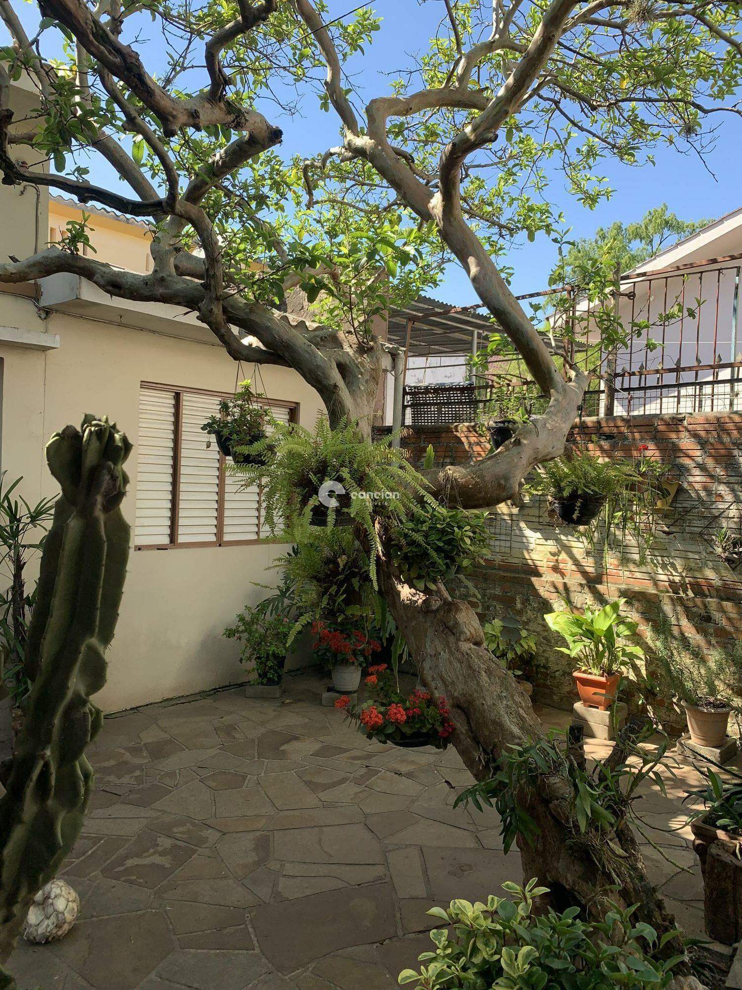 Casa à venda no Nossa Senhora do Perpétuo Socorro: 