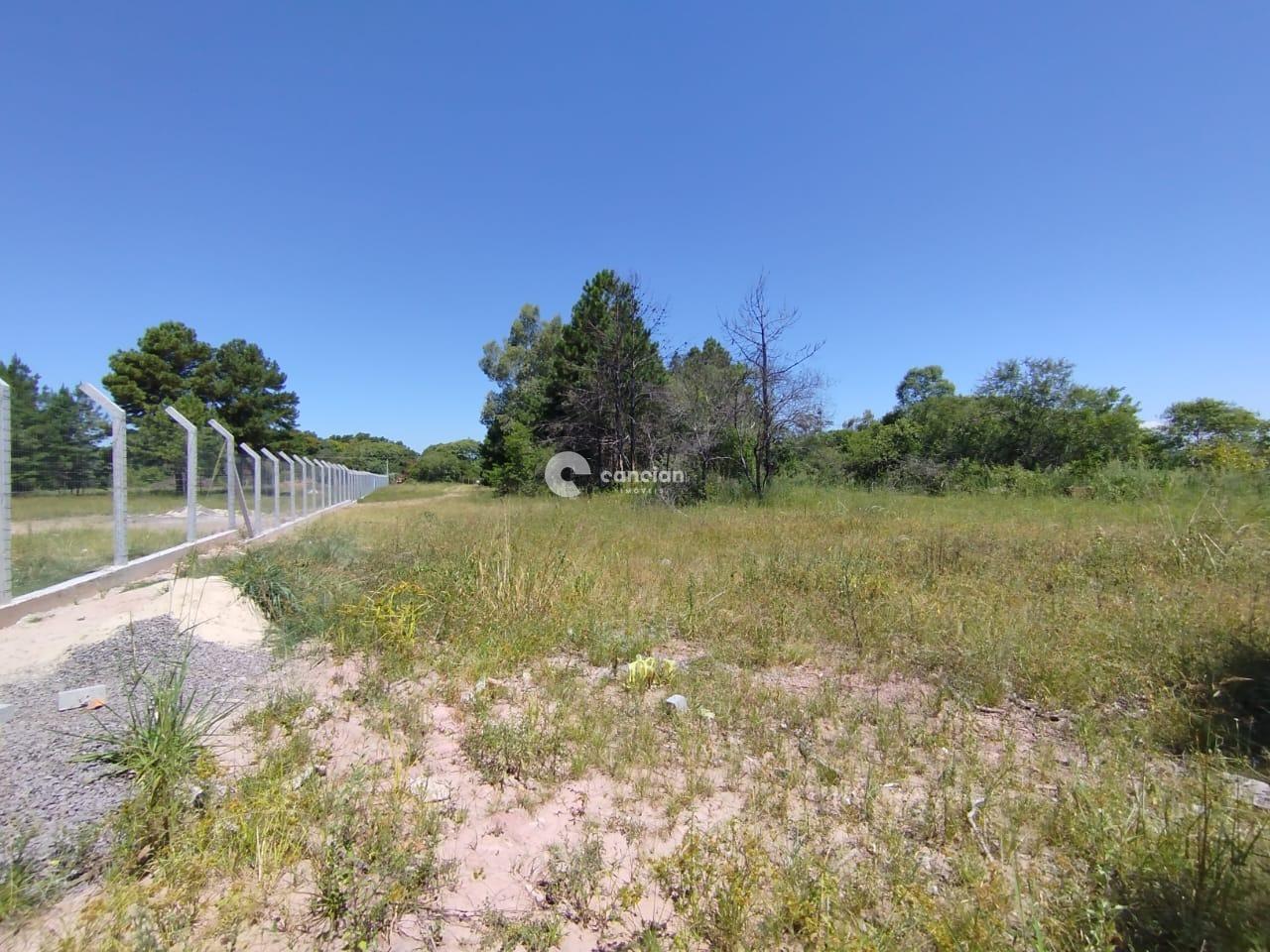 Terreno à venda no Tomazetti: 