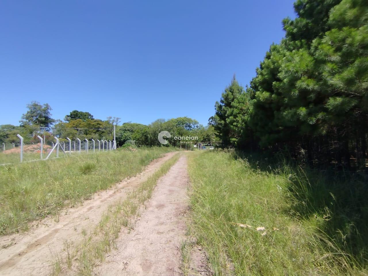 Terreno à venda no Tomazetti: 