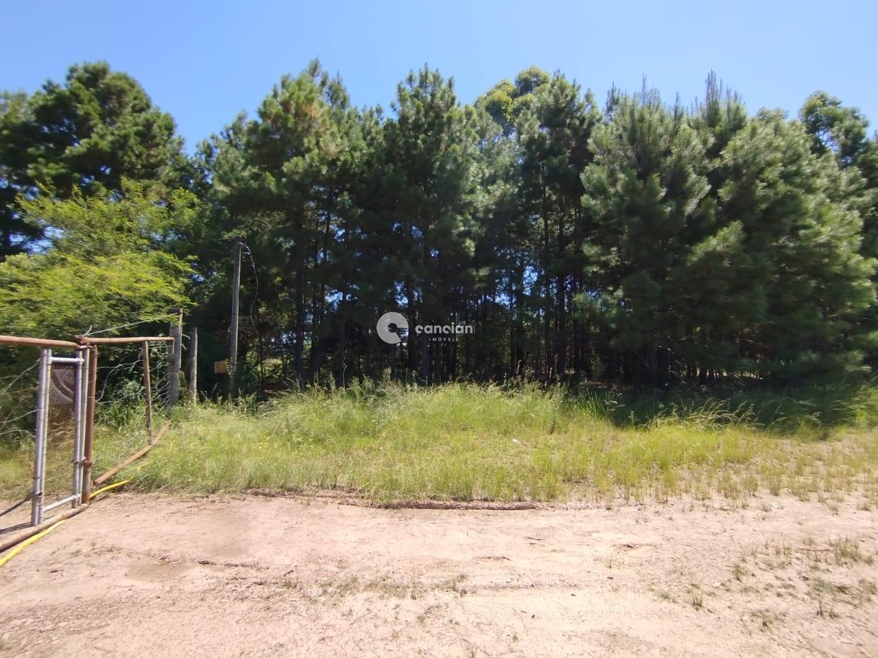 Terreno à venda no Tomazetti: 