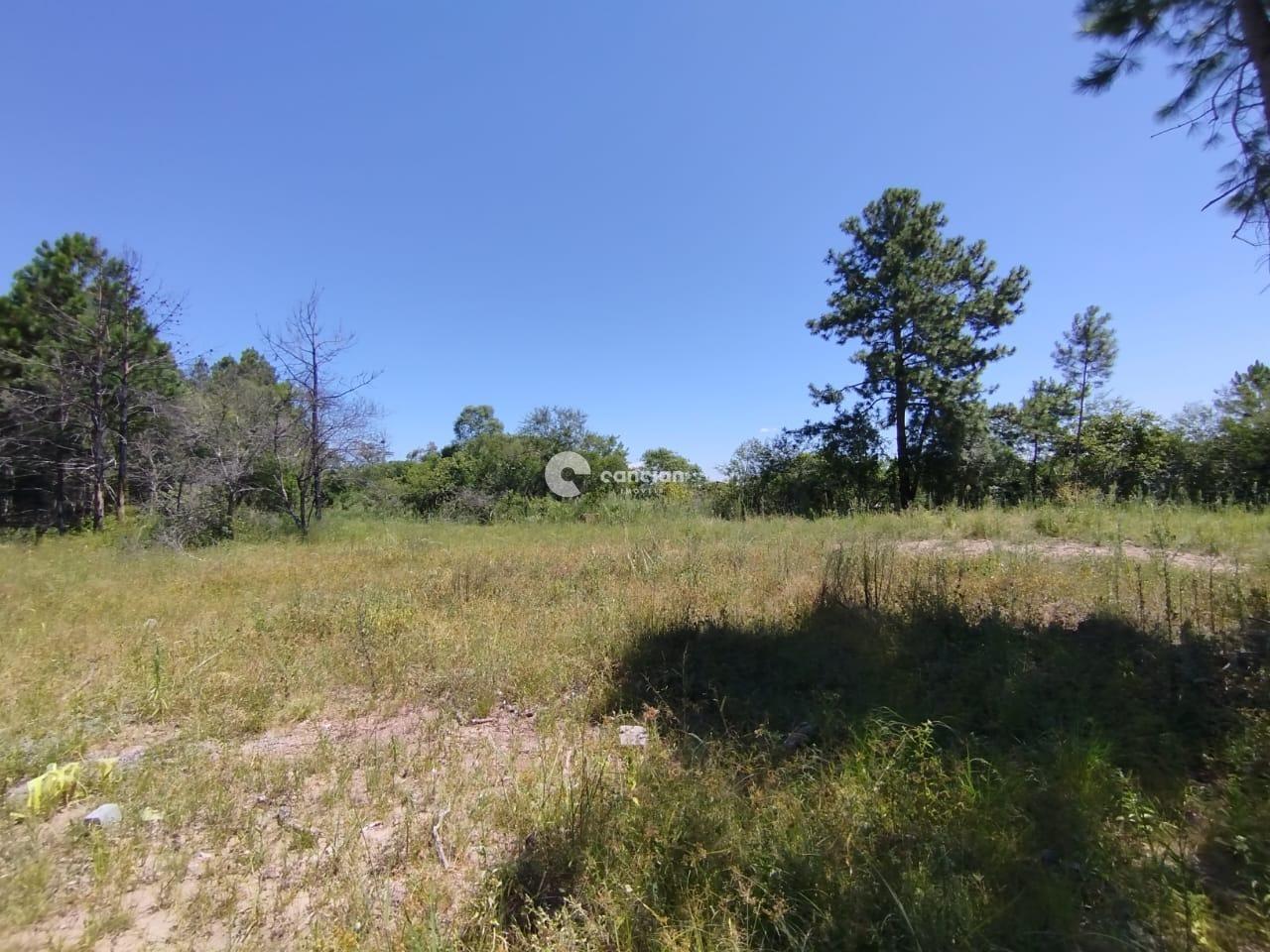 Terreno à venda no Tomazetti: 