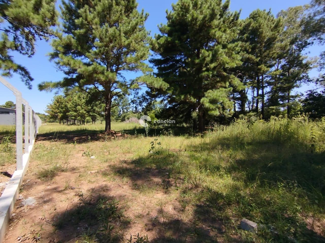 Terreno à venda no Tomazetti: 