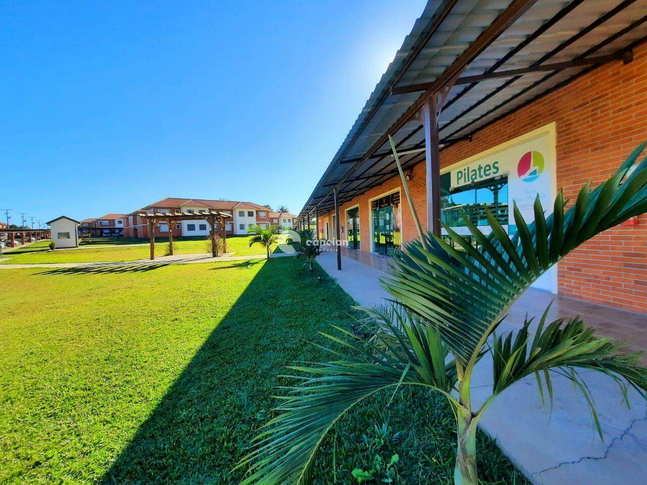 Apartamento para aluguel no Pinheiro Machado: 