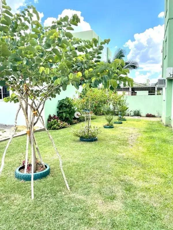 Apartamento para aluguel no Camobi: 