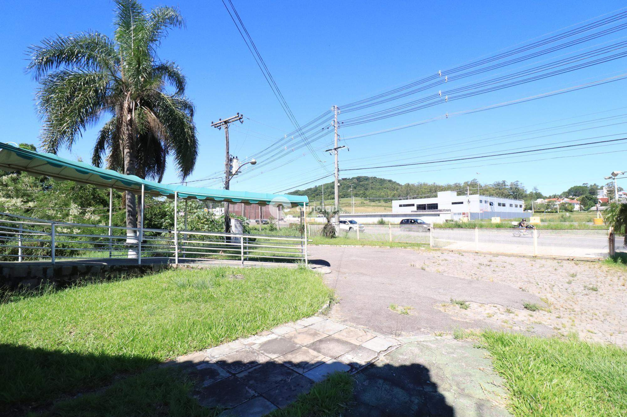 Loja para aluguel no Nossa Senhora Medianeira: 