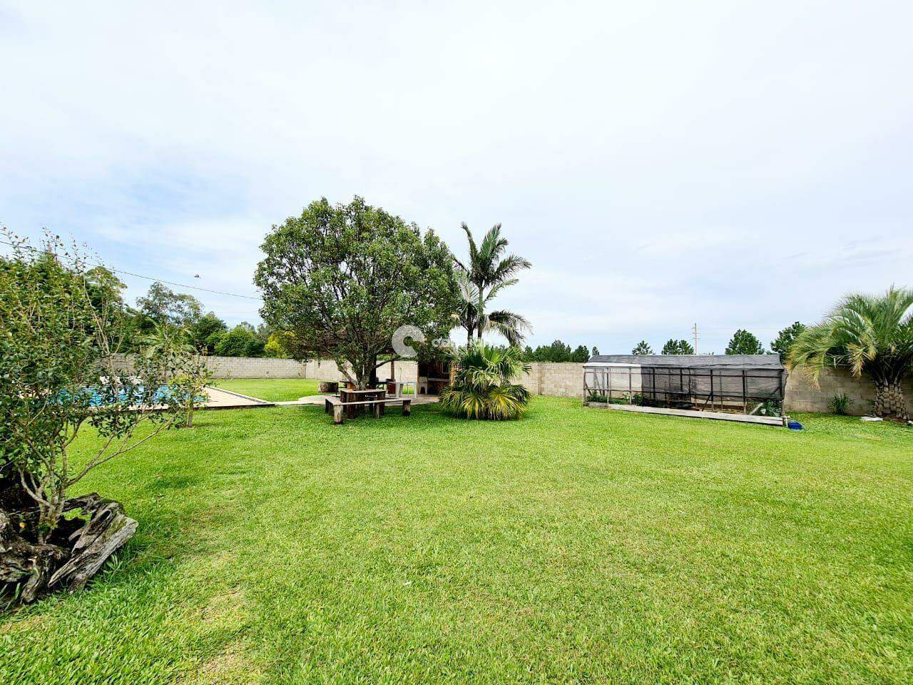 Casa para aluguel no Pinheiro Machado: 