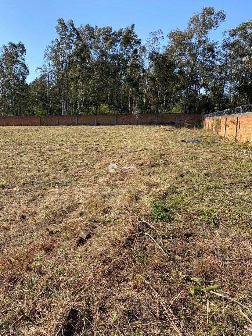 Terreno para aluguel no Pé de Plátano: 