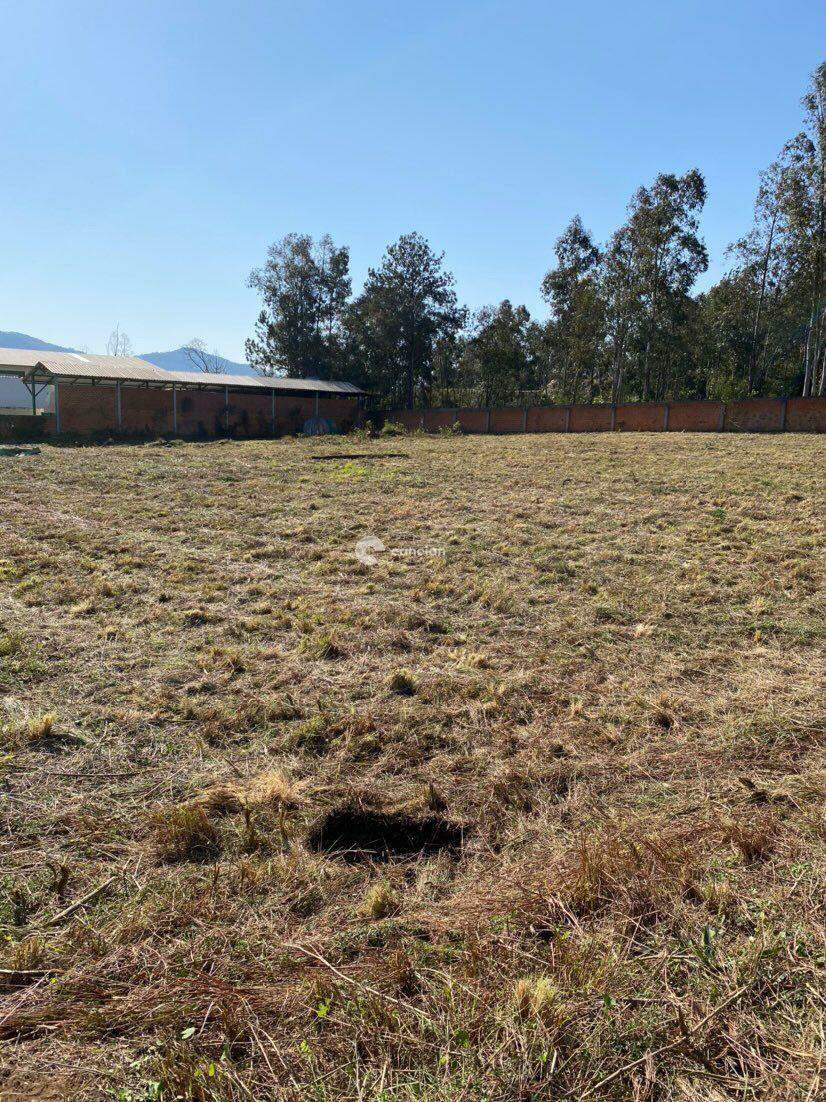 Terreno para aluguel no Pé de Plátano: 