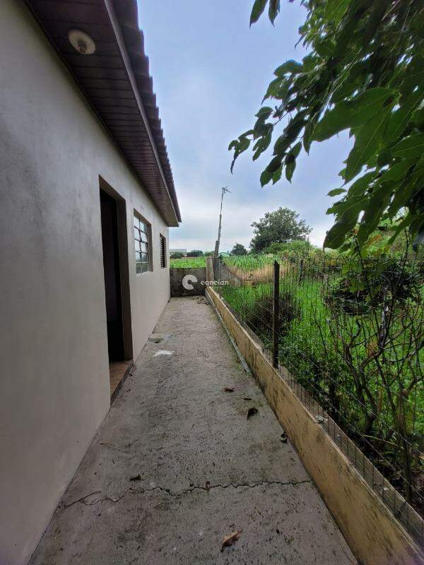 Casa para aluguel no Pinheiro Machado: 