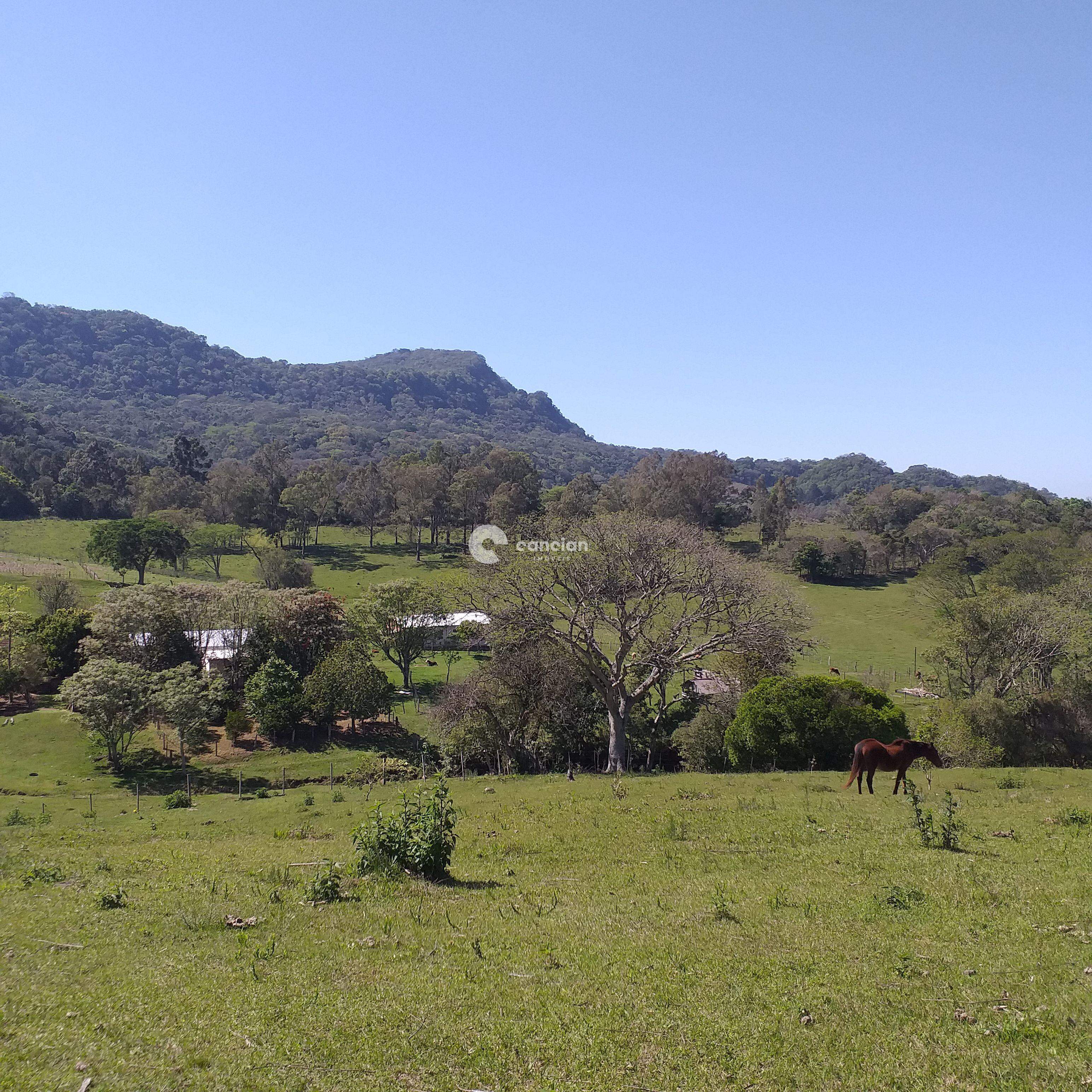 Área Rural à venda no Pé de Plátano: 