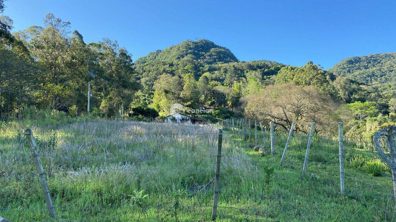 Área Rural à venda no Pé de Plátano: 