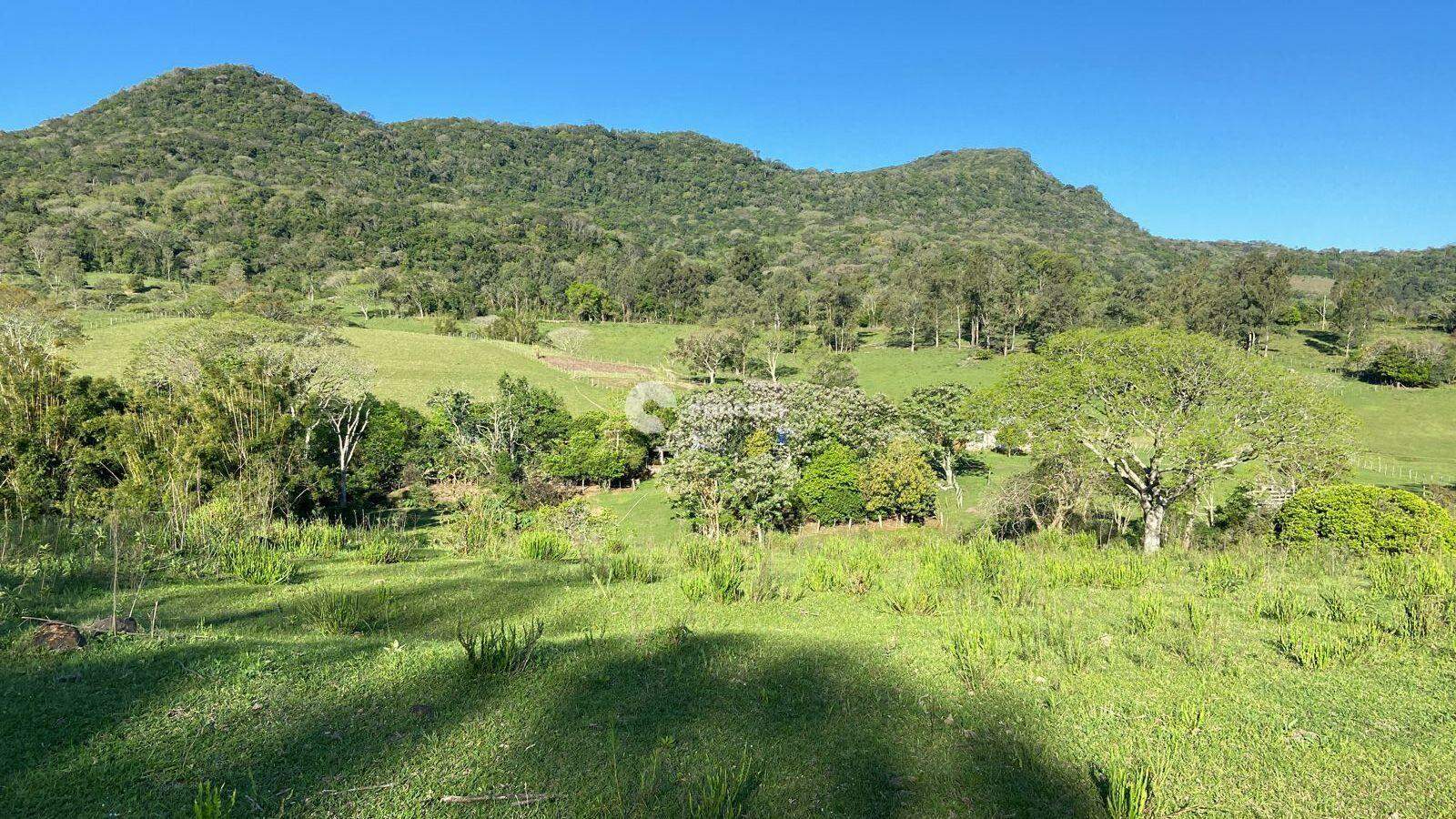 Área Rural à venda no Pé de Plátano: 