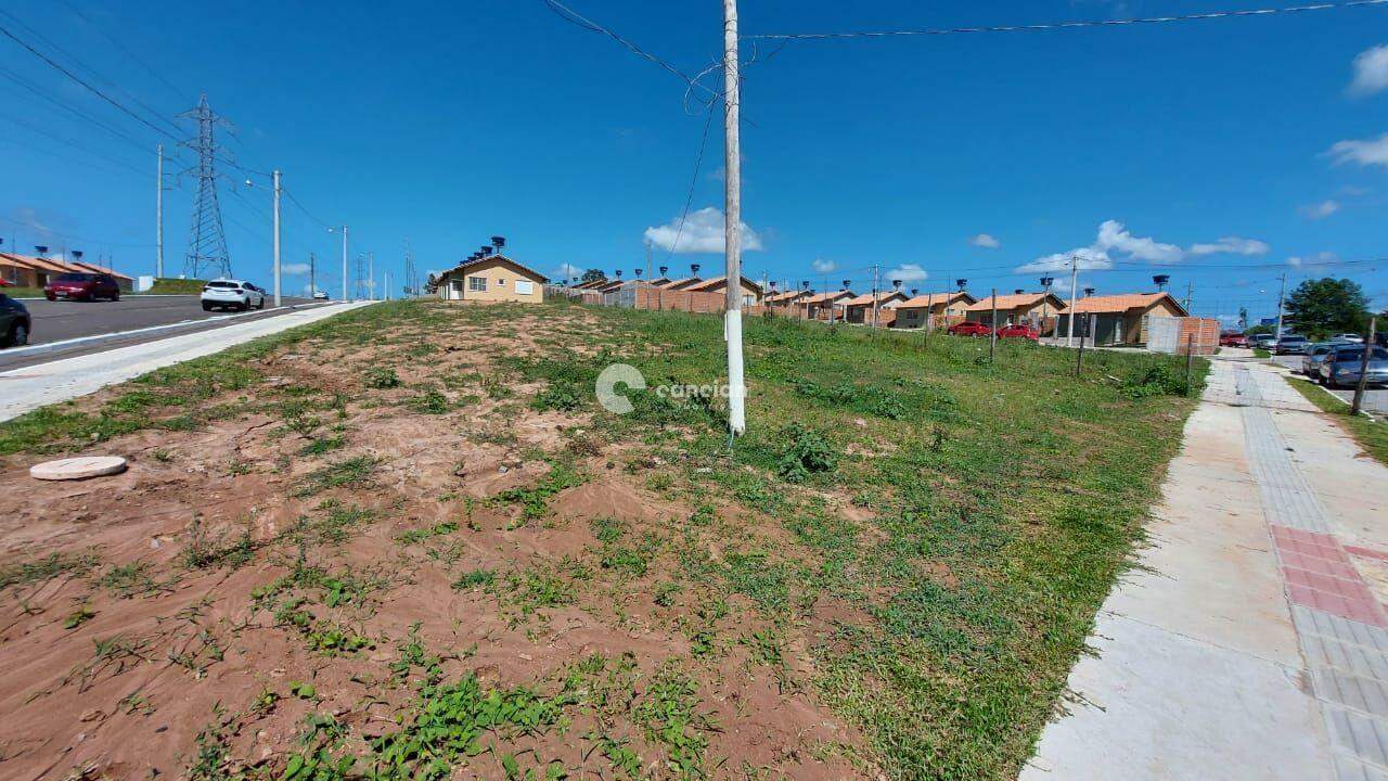 Terreno Comercial à venda no Diácono João Luiz Pozzobon: 
