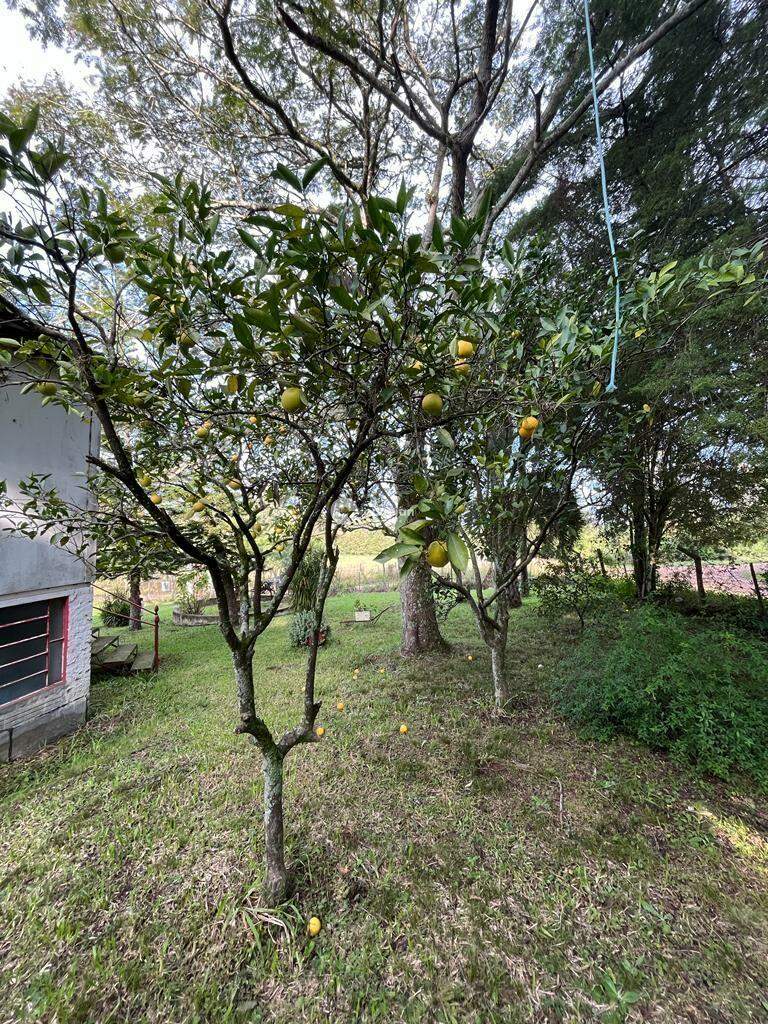 Terreno à venda no Diácono João Luiz Pozzobon: 