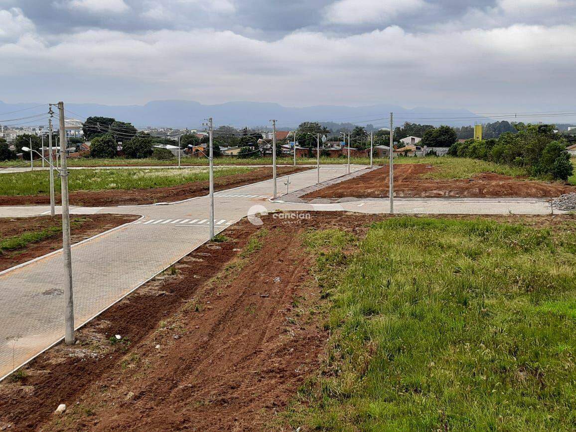 Terreno à venda no Camobi: 