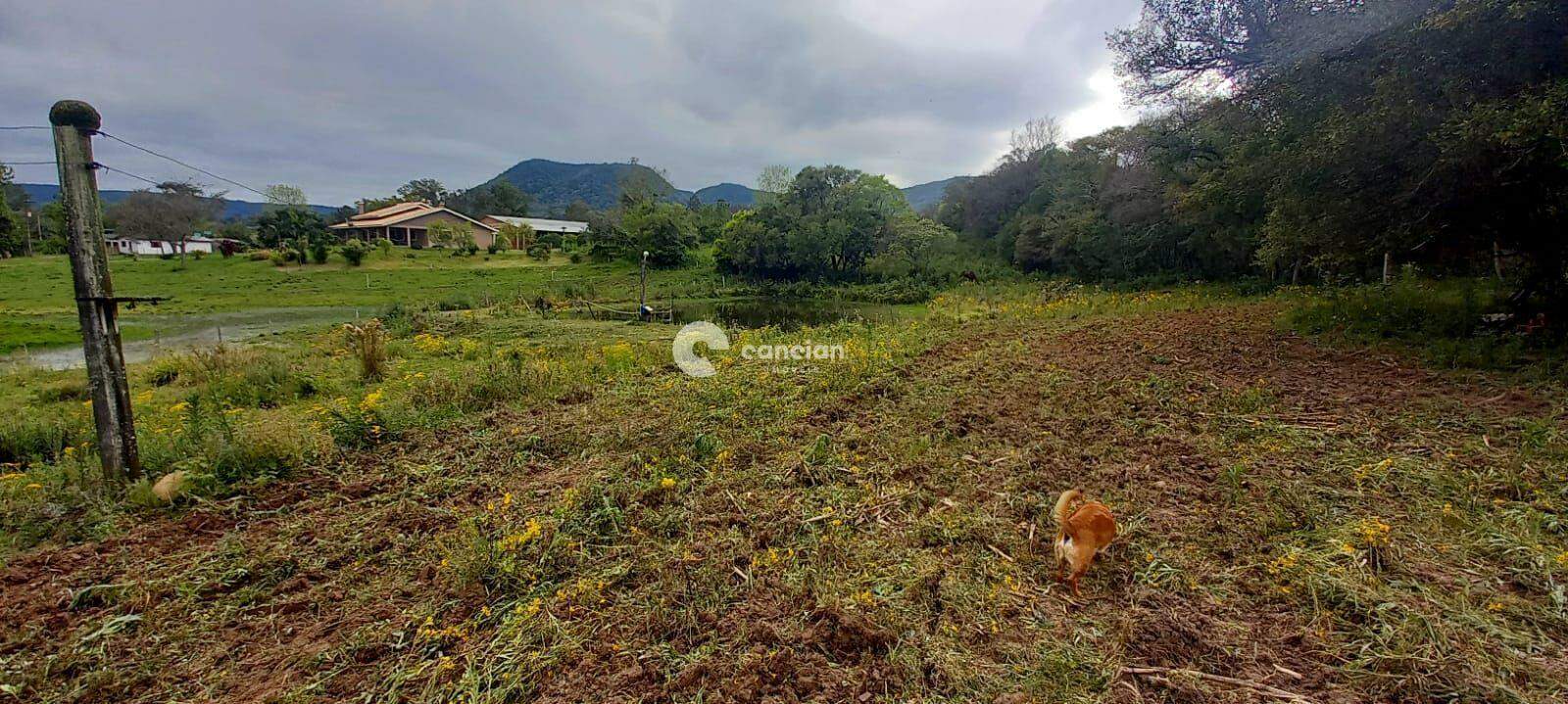 Chácara à venda no Arroio Grande: 