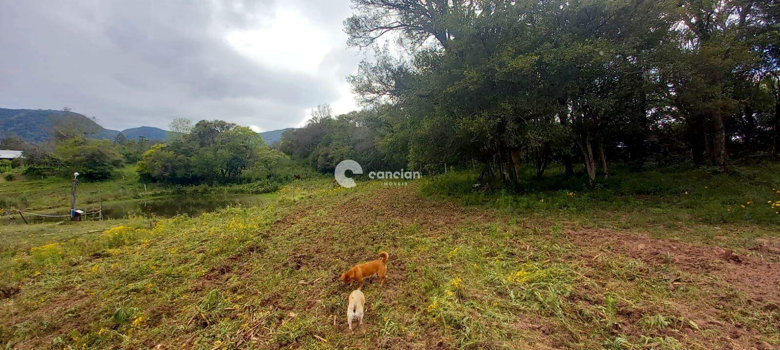 Chácara à venda no Arroio Grande: 