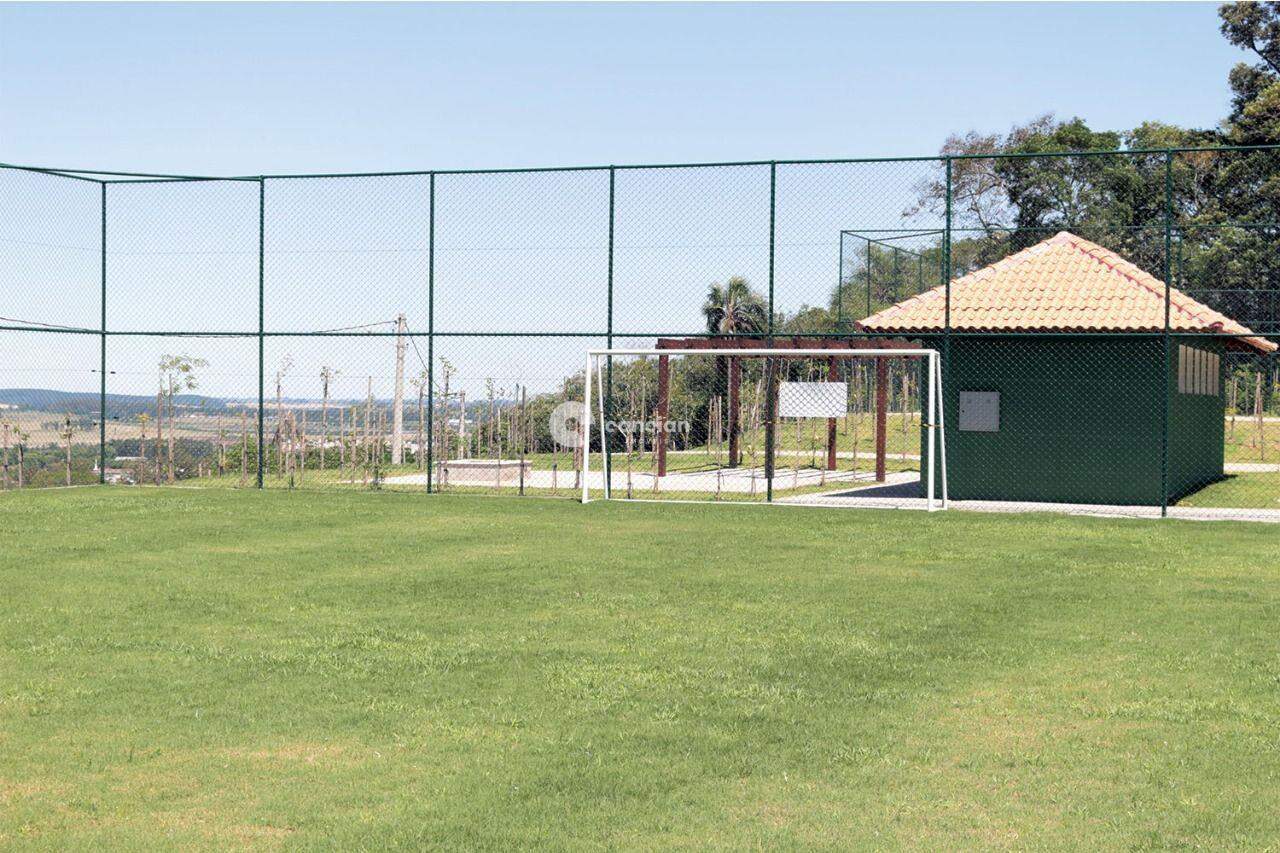 Terreno à venda no Tomazetti: 