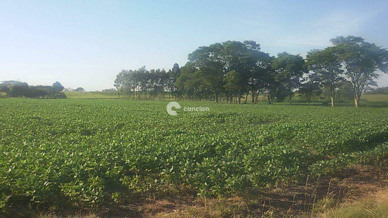 Terreno à venda no Camobi: