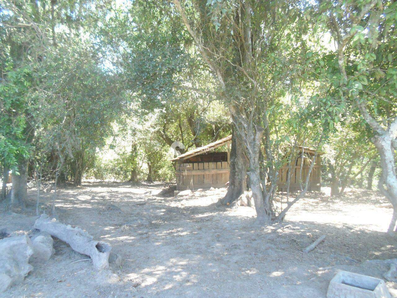 Área Rural à venda no Zona rural: