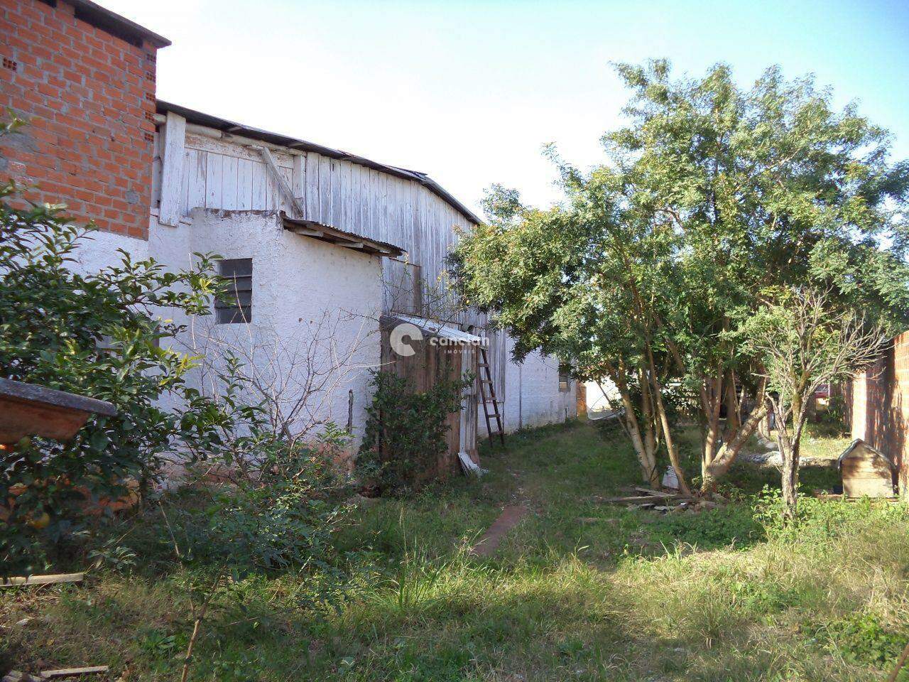 Terreno à venda no Pinheiro Machado: 
