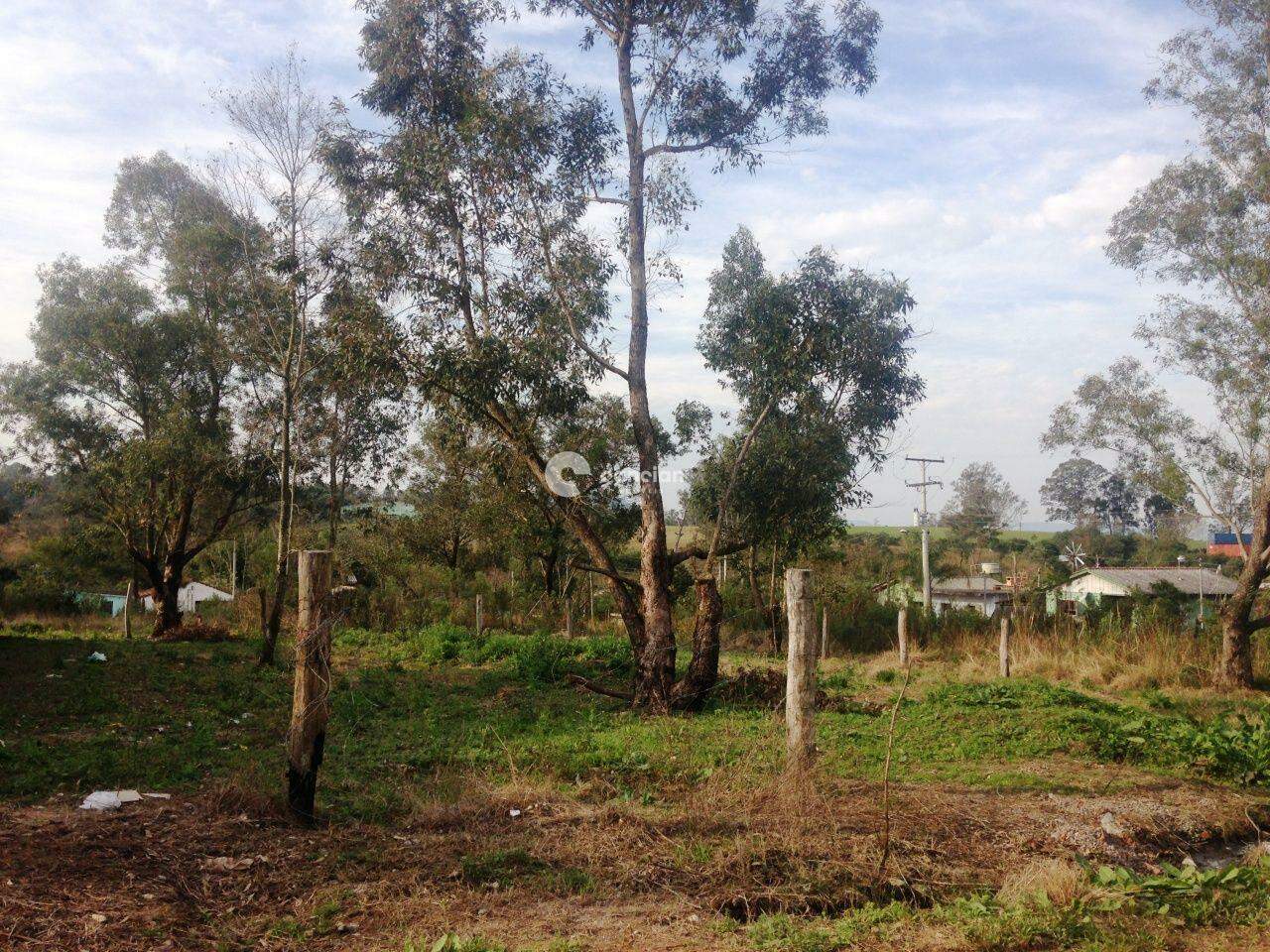 Terreno à venda no Tancredo Neves: 