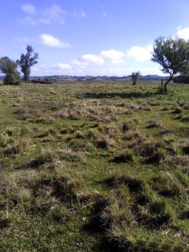 Área Rural à venda no Zona Rural: 