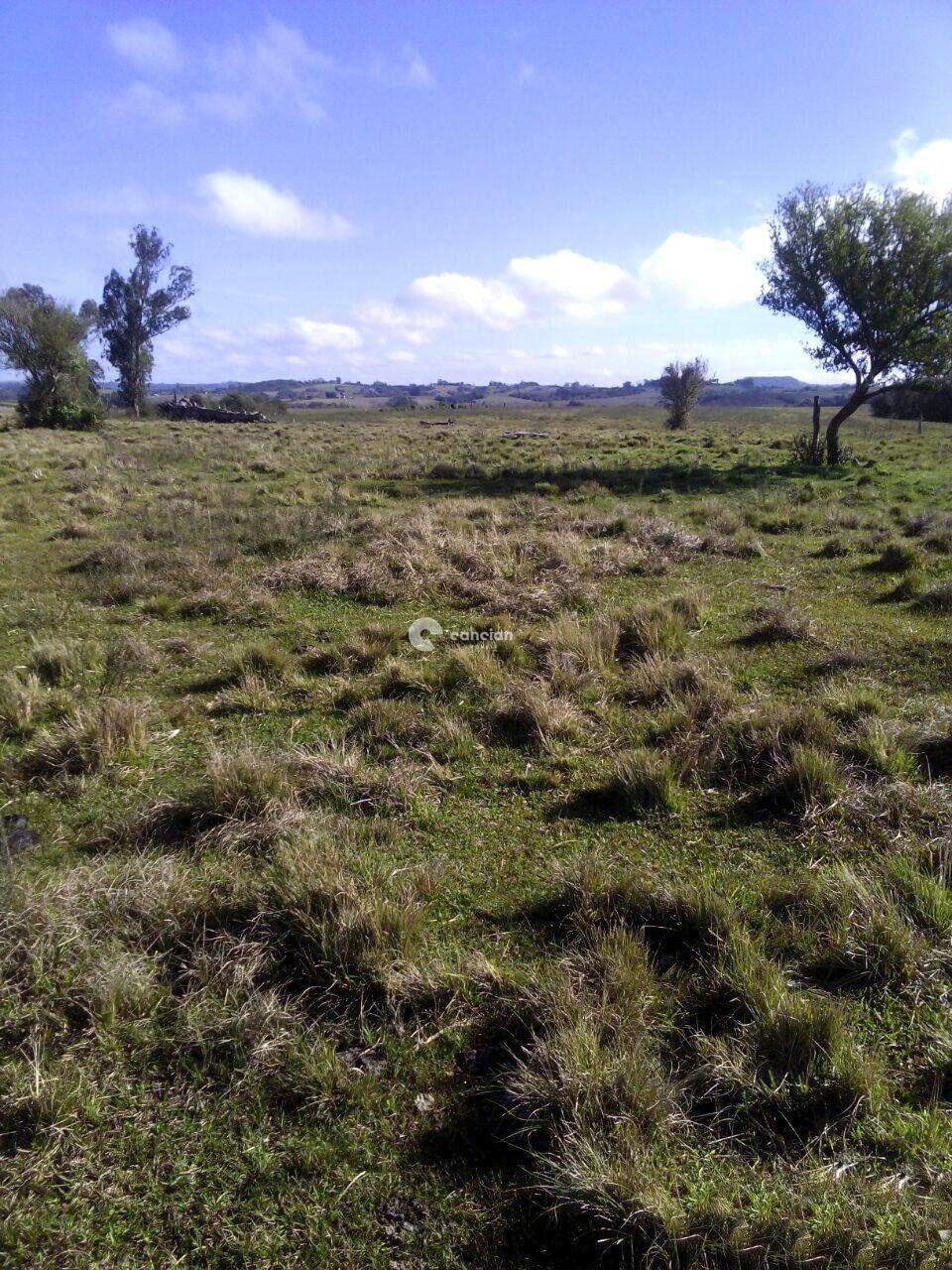 Área Rural à venda no Zona Rural: 