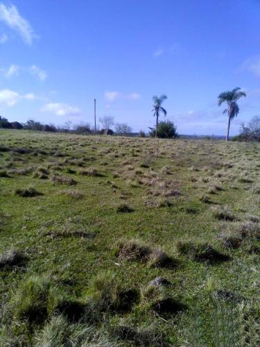 Área Rural à venda no Zona Rural: 