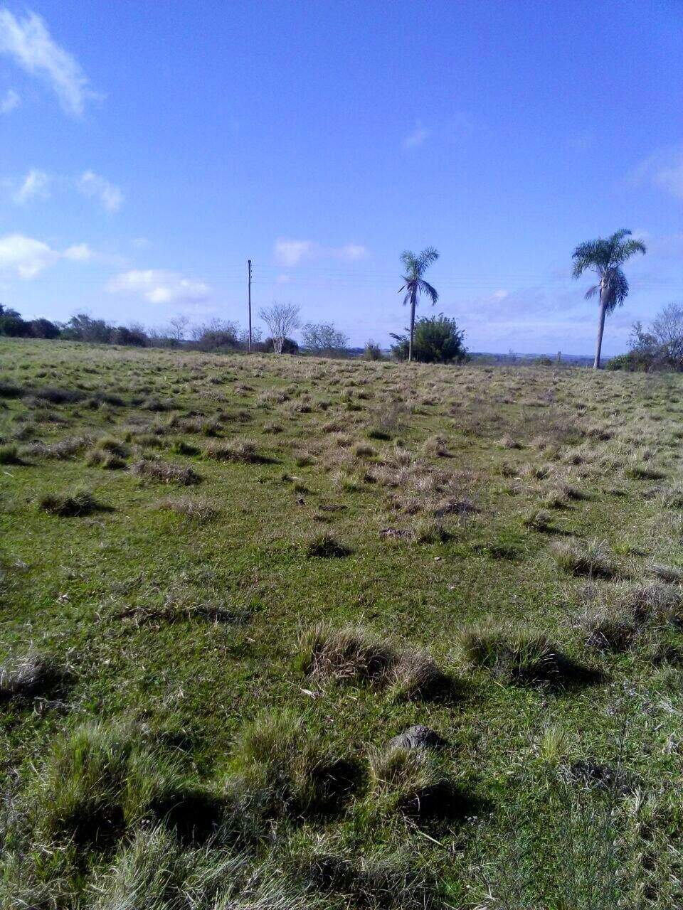Área Rural à venda no Zona Rural: 