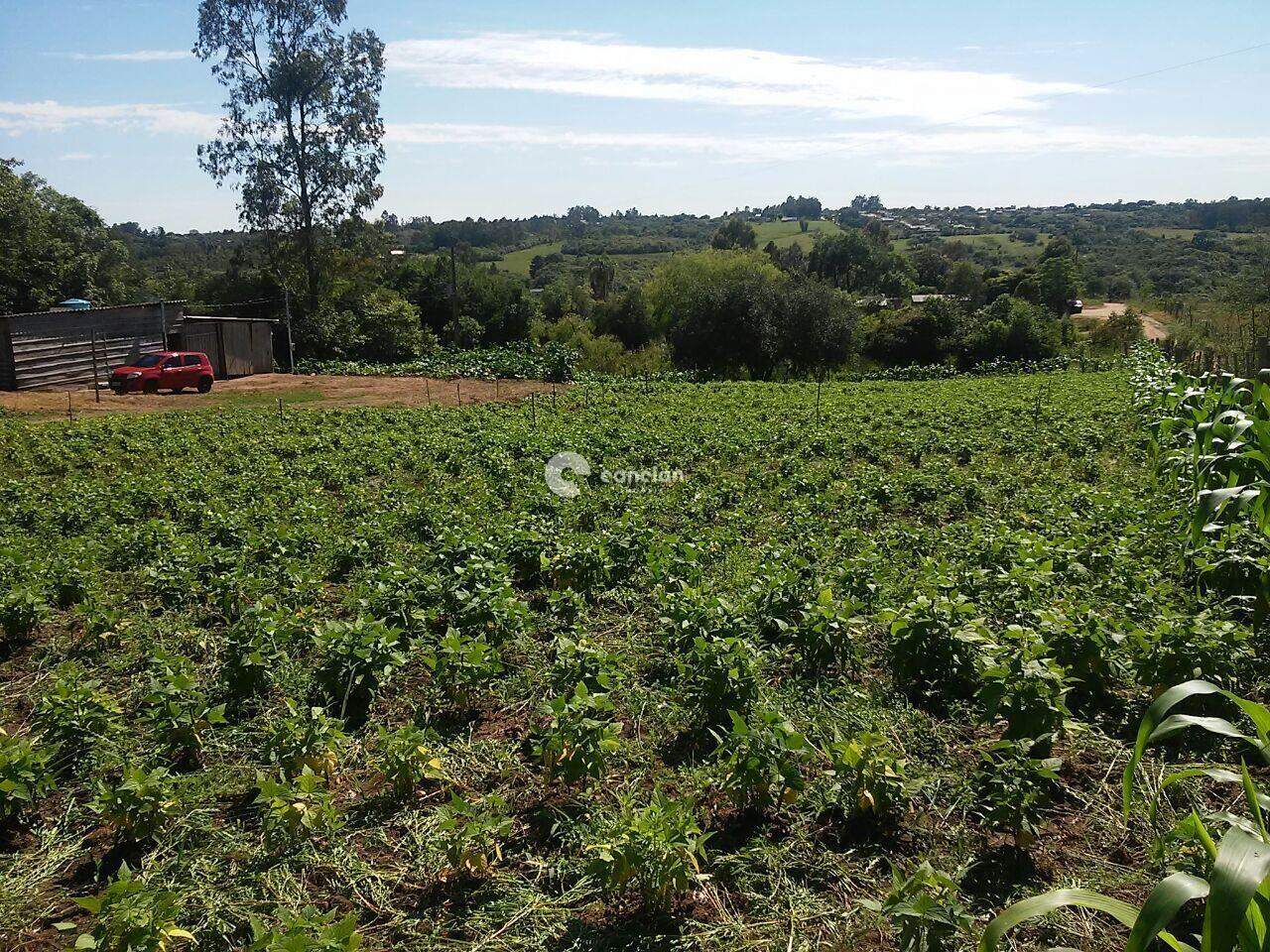 Área Rural à venda no Zona rural: 