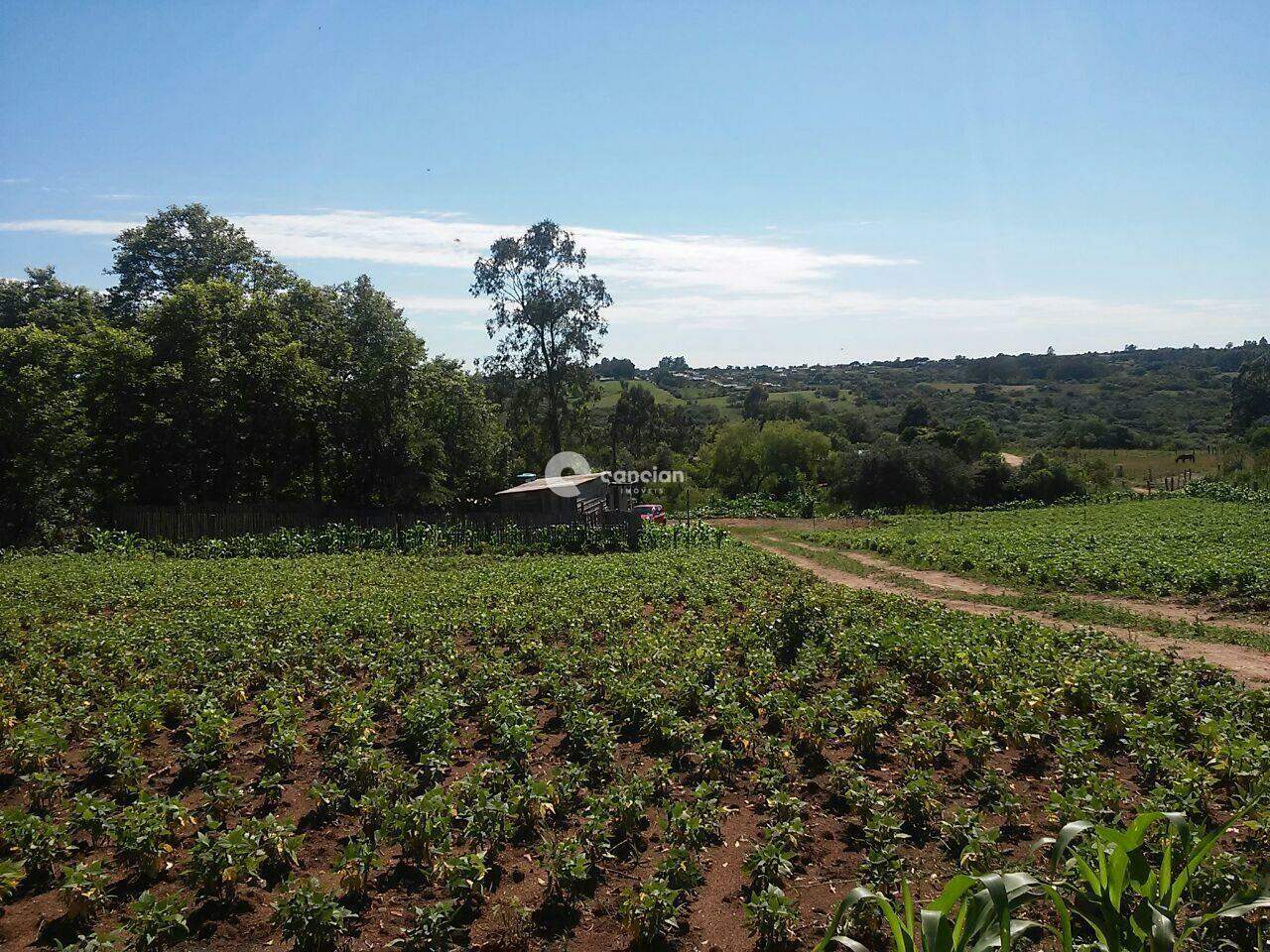 Área Rural à venda no Zona rural: 