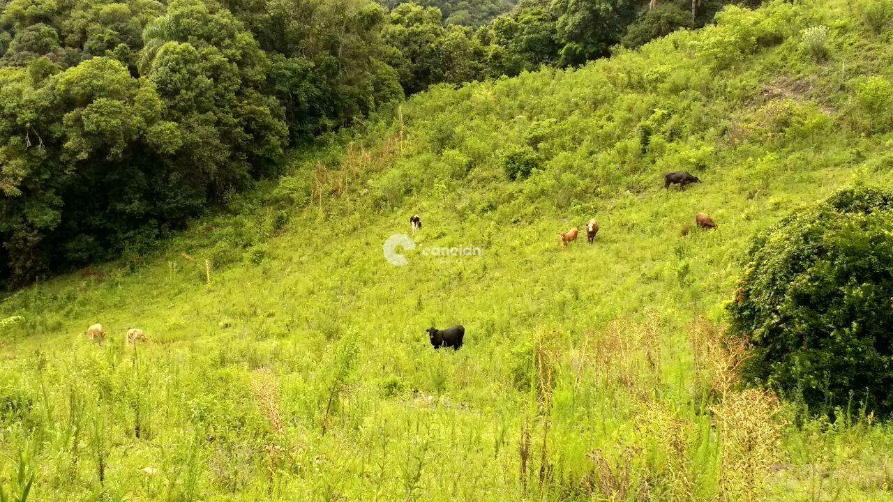 Campo à venda no Zona rural: 