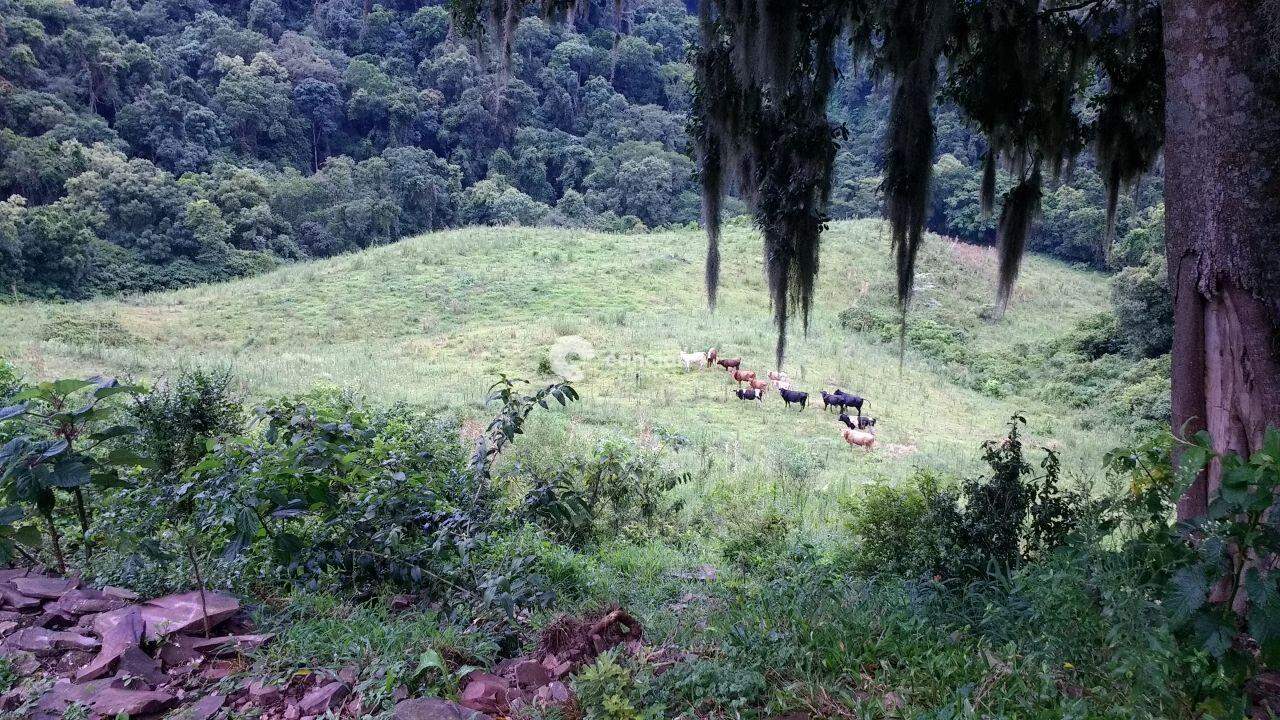 Campo à venda no Zona rural: 