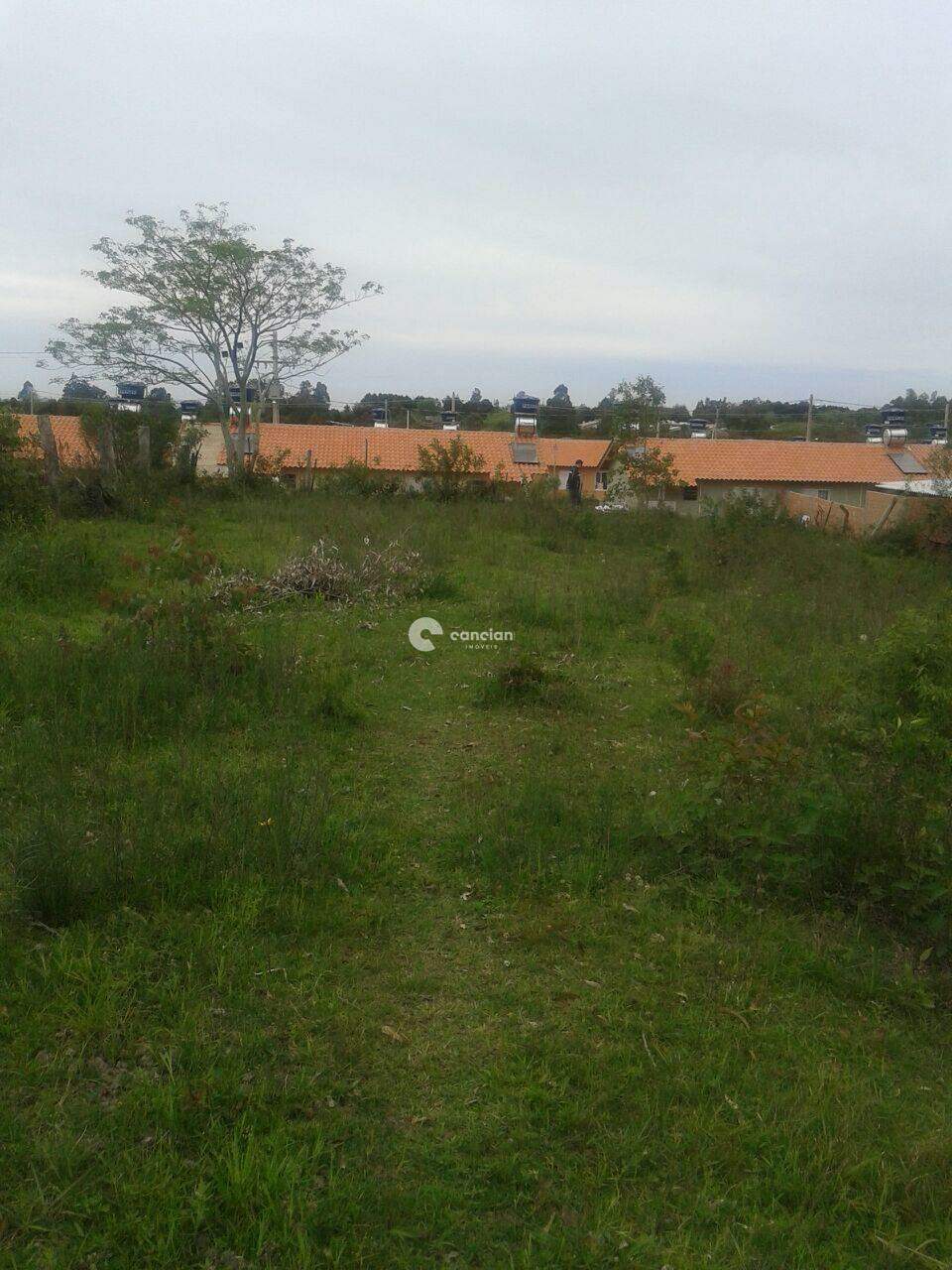 Terreno à venda no Cerrito: 