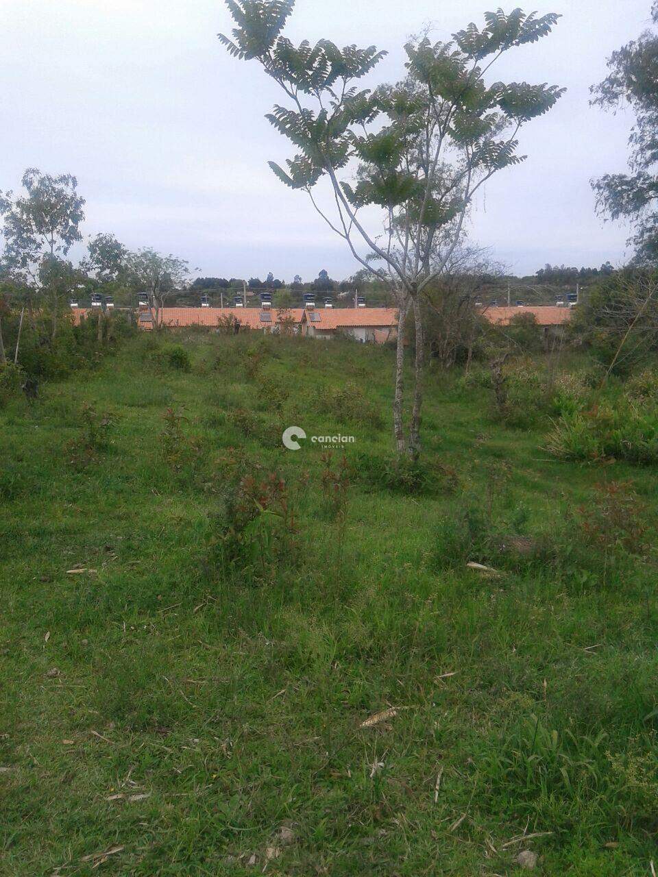 Terreno à venda no Cerrito: 