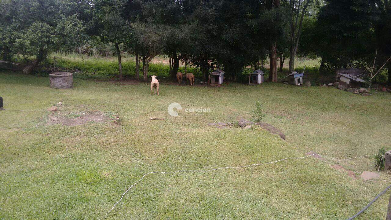 Chácara à venda no Campestre do Menino Deus: 
