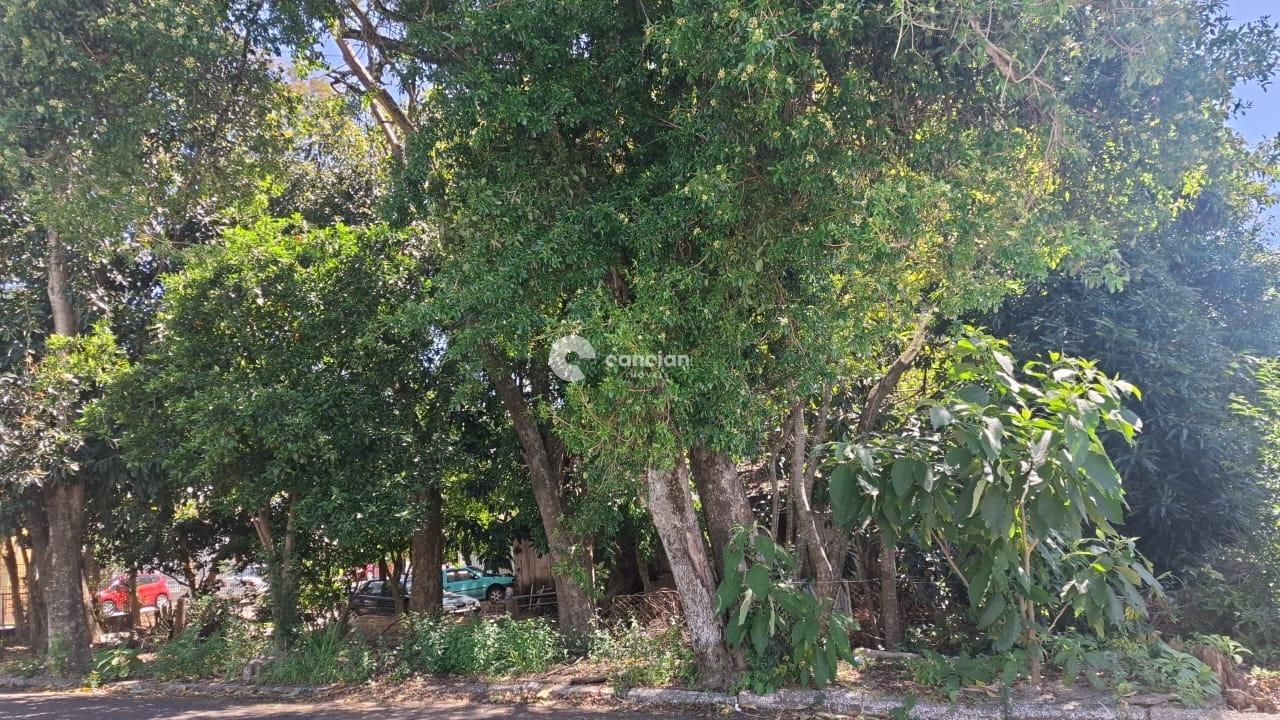 Terreno à venda no Nossa Senhora de Lourdes: 