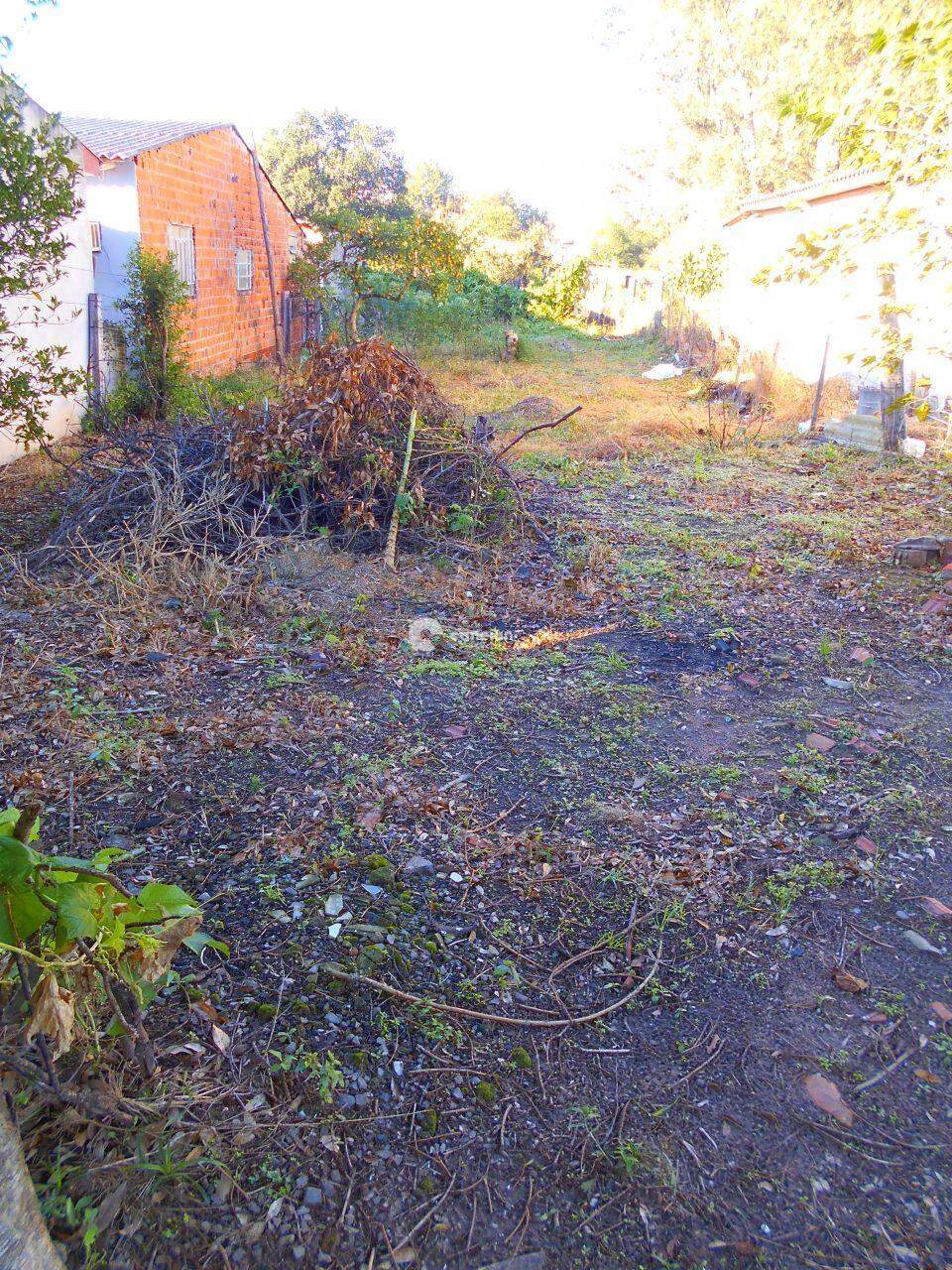 Terreno à venda no Camobi: 