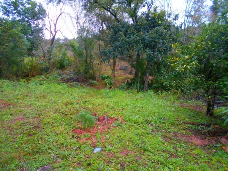 Terreno à venda no Camobi: 