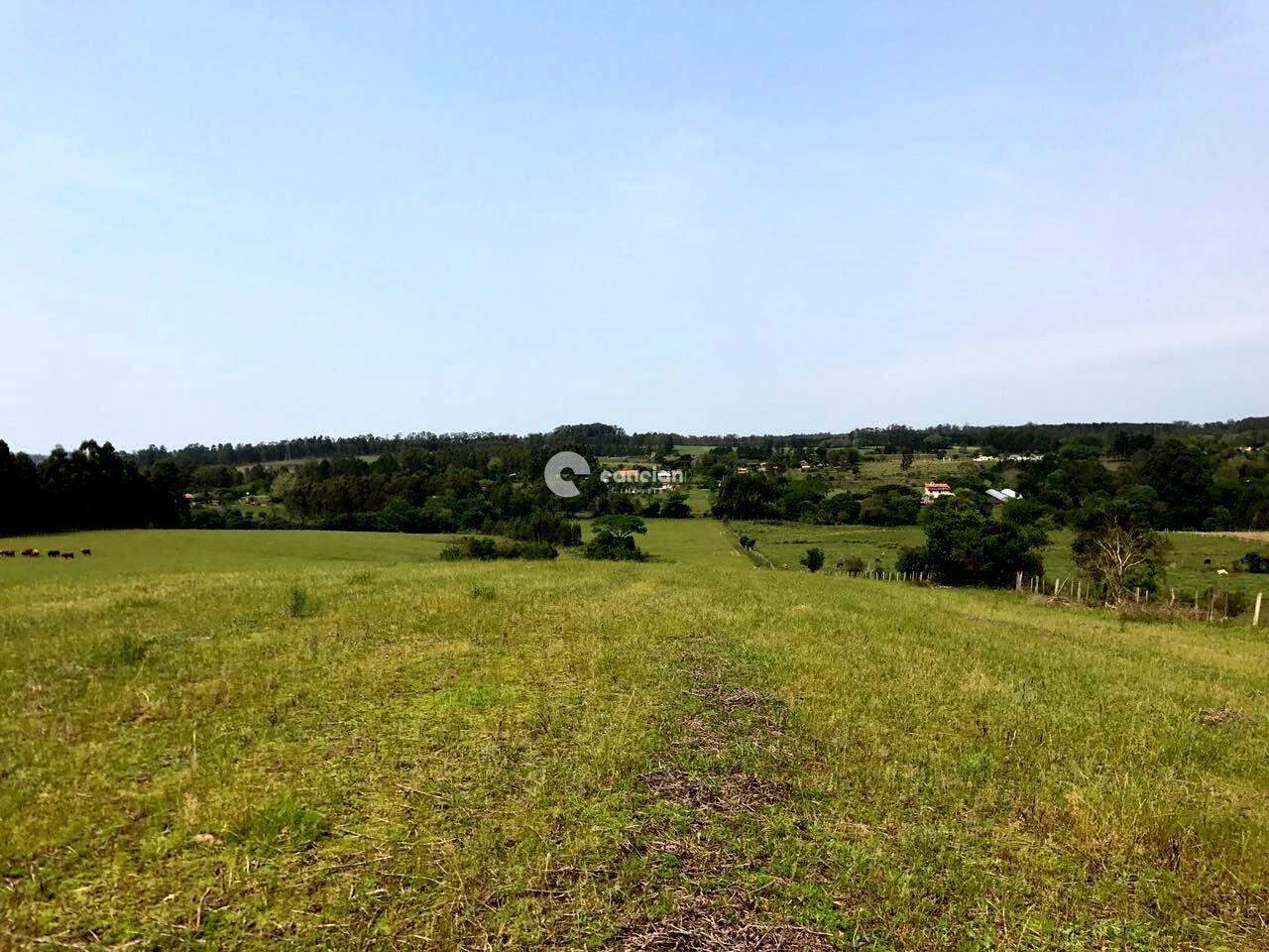 Área Rural à venda no Zona rural: 