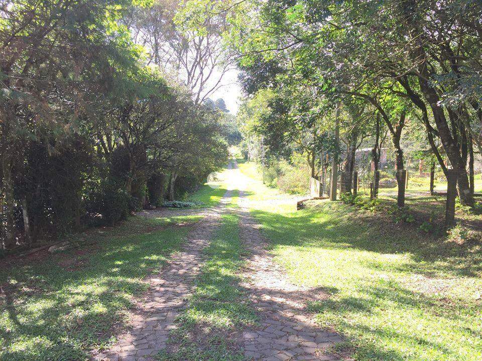 Terreno à venda no Parque Pinhal: 