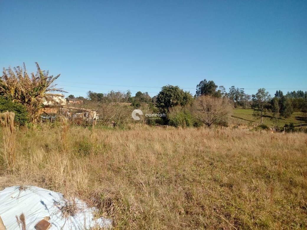 Terreno à venda no Tancredo Neves: 