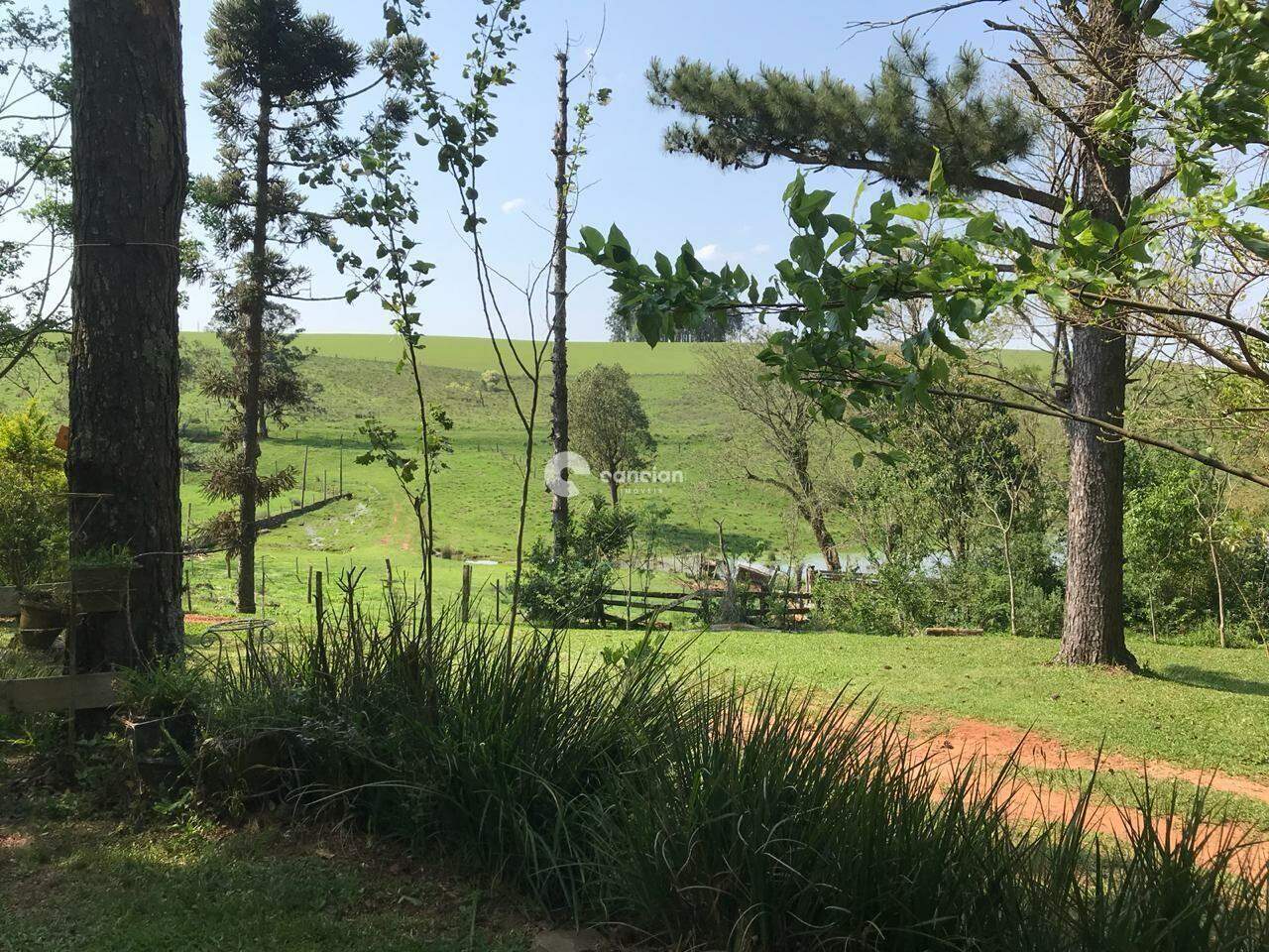 Terreno à venda no Nenhum: