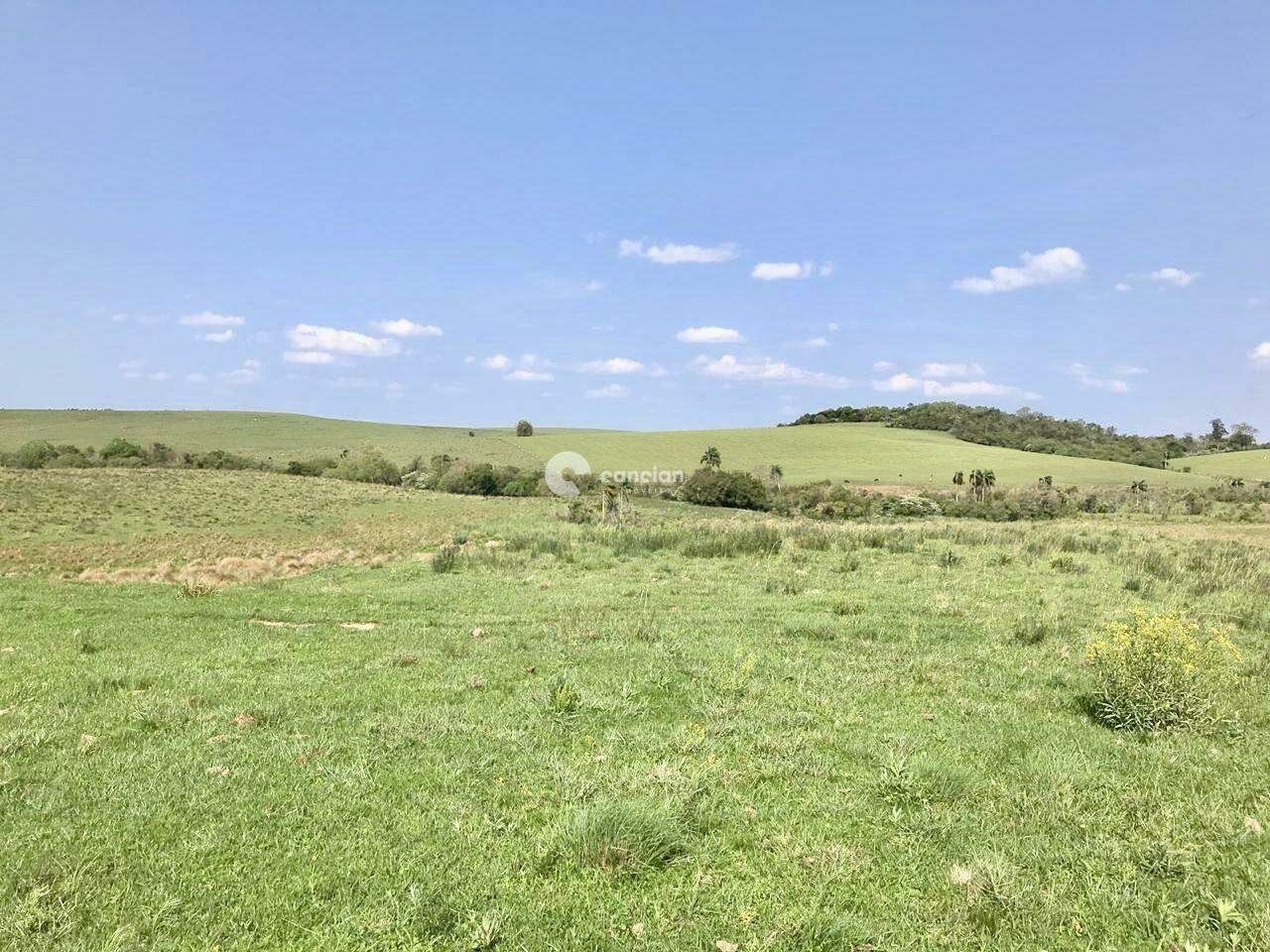 Terreno à venda no Nenhum: