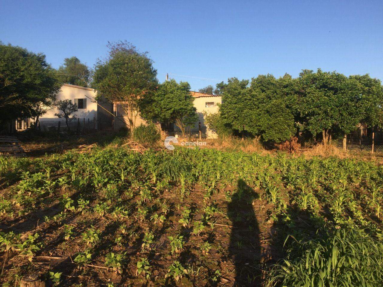 Casa à venda no Pinheiro Machado: 