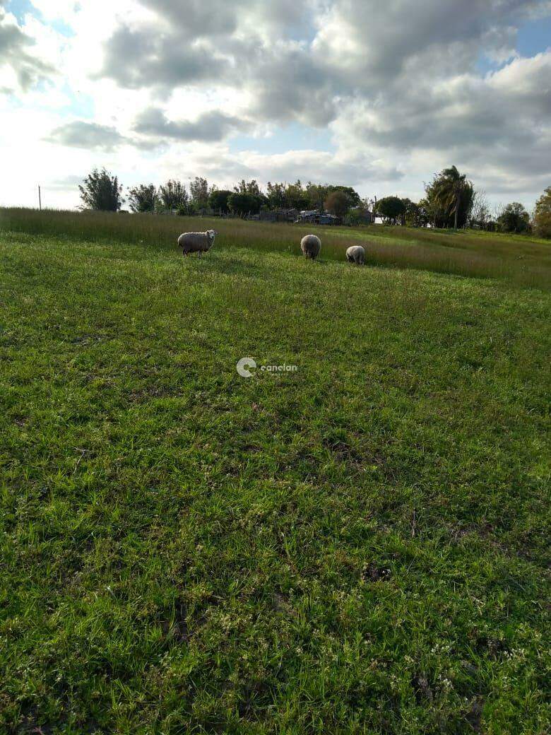 Chácara à venda no Zona rural: 