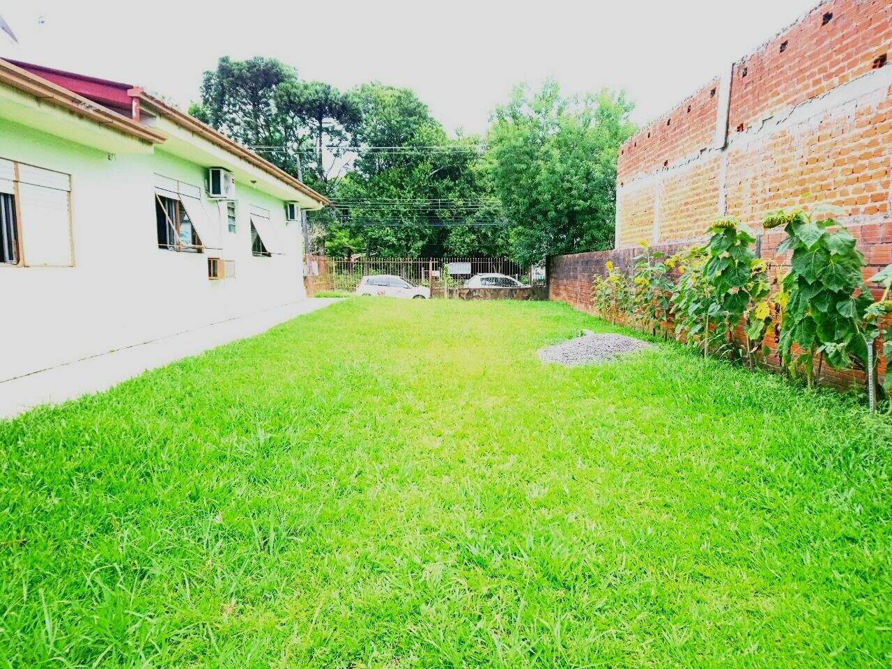 Casa à venda no Pinheiro Machado: 